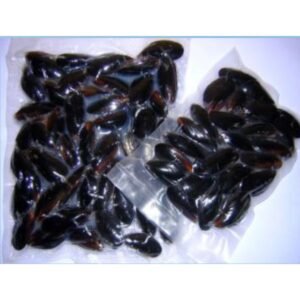 MEJILLONES DOBLE CONCHA 5 KG POR CAJA (1 CAJA TIENE 5 PKT) (CADA PKT TIENE 1 KG) | DOUBLE-SHELLED MUSSEL 5 KG PER BOX (1 BOX HAS 5 PKT) (EACH PKT HAS 1 KG)