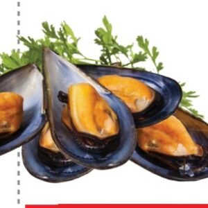 MEJILLONES MEDIA CONCHA 10 KG - 1 UNI/CAJA | HALF SHELL MUSSELS 10 KG - 1 UNIT/BOX